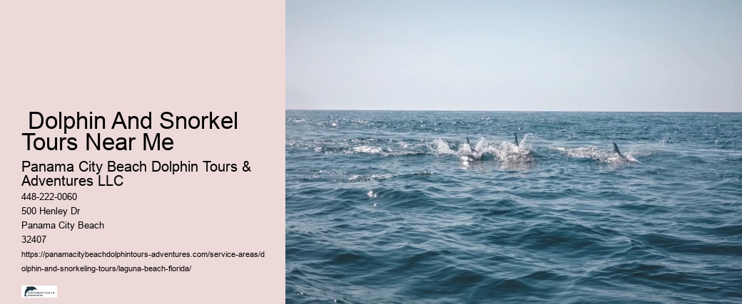 Snorkeling Near By