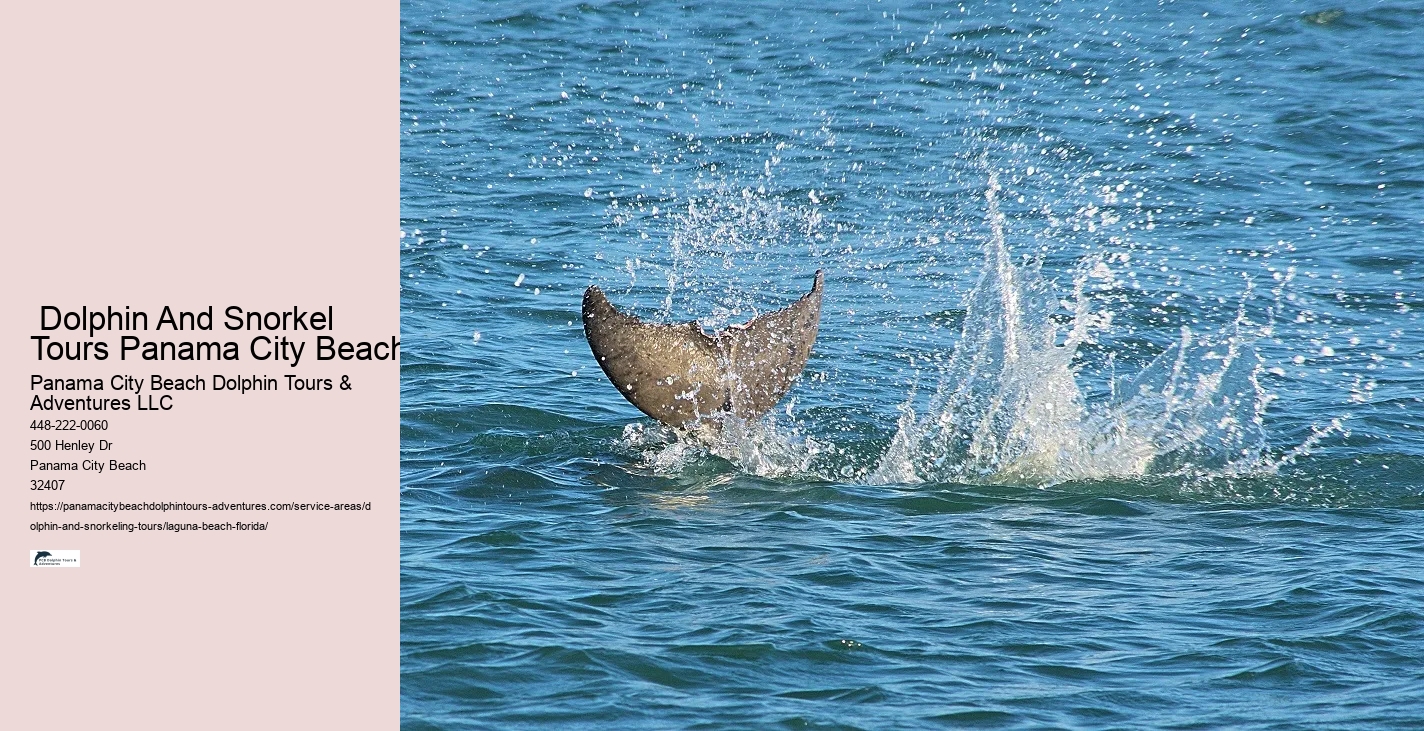 Do dolphins like to swim with you