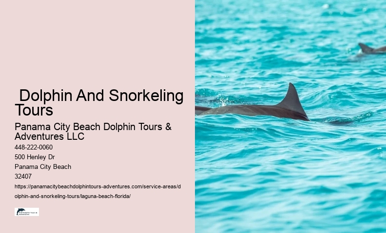 Best Dolphin Cruise Near Me
