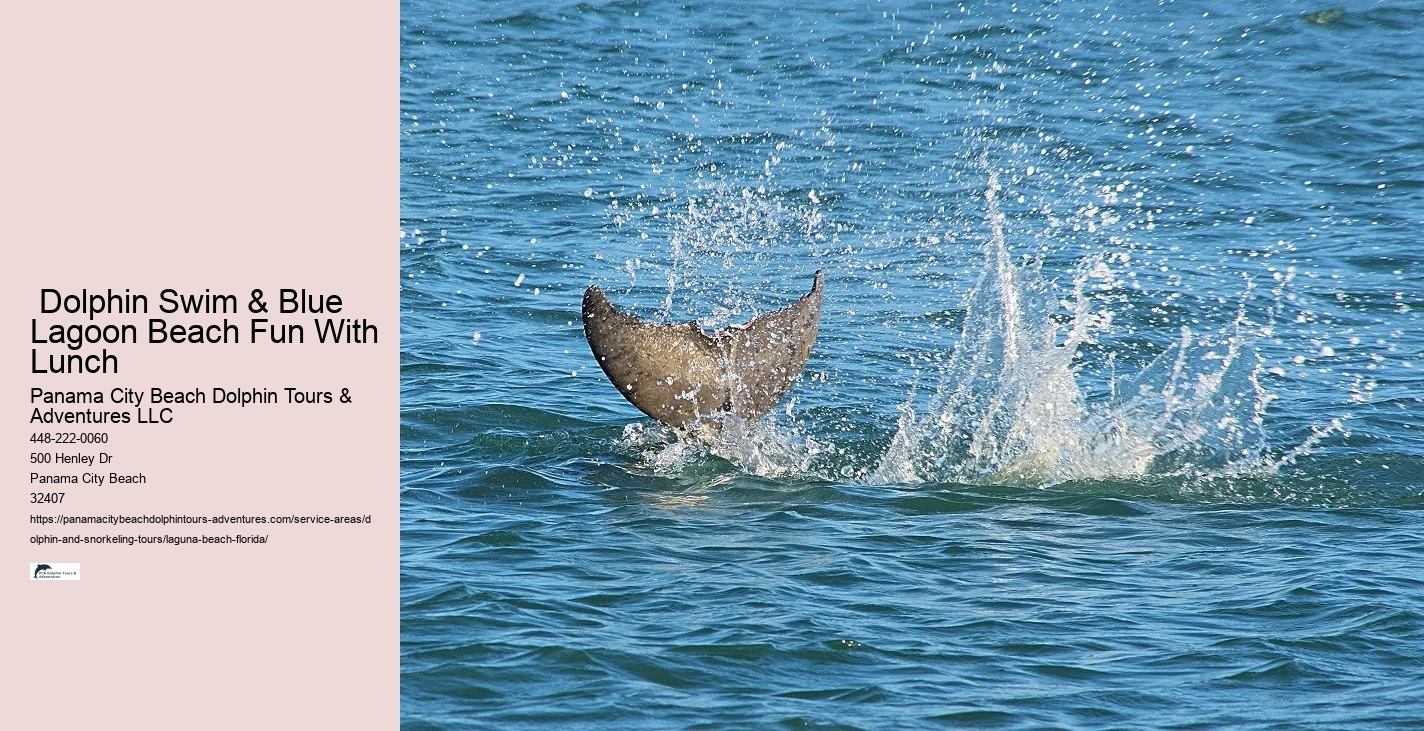 Dolphin Cruise And Snorkeling Adventure