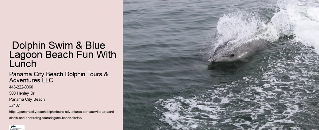 Dolphin Swim & Blue Lagoon Beach Fun With Lunch