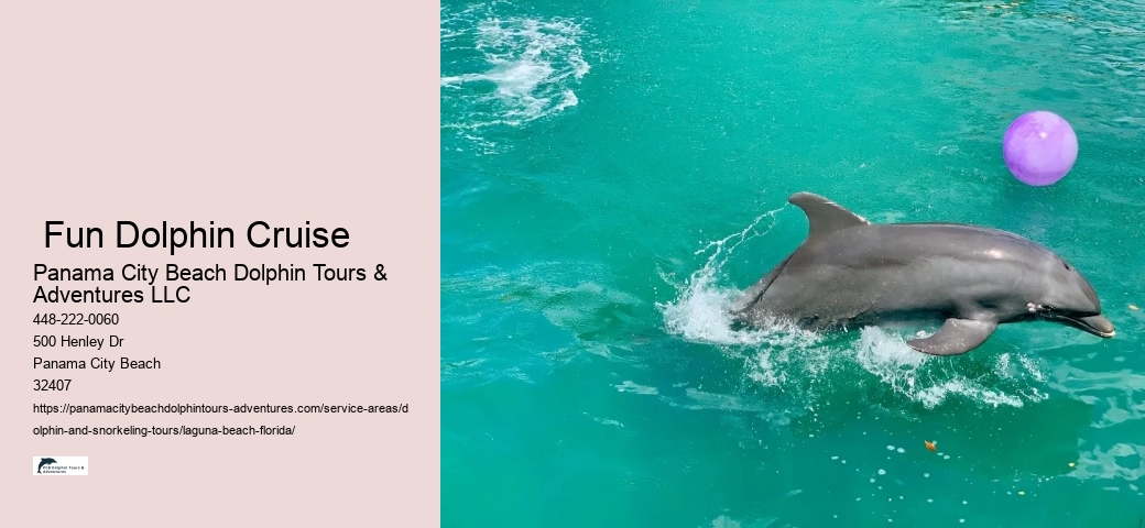 Beach Dolphin
