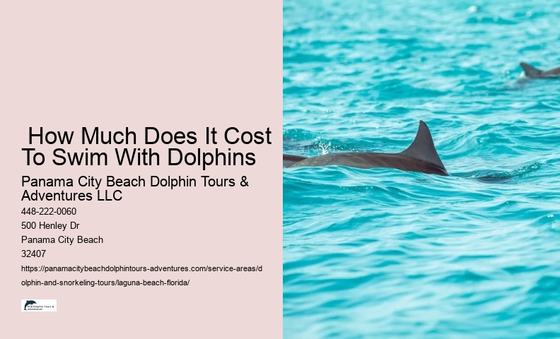 Is it legal to swim with wild dolphins in Florida