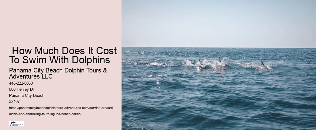 Dolphin Trips Near Me