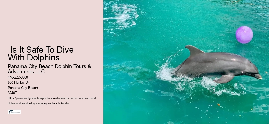Dolphin & Wildlife Adventure Cruise