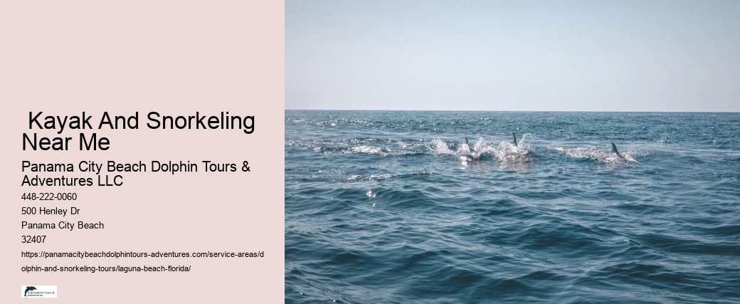 Snorkeling Adventures Near Me