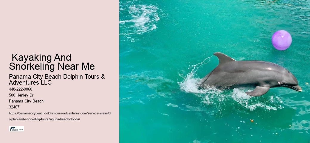 Dolphin Watching Tours Near Me