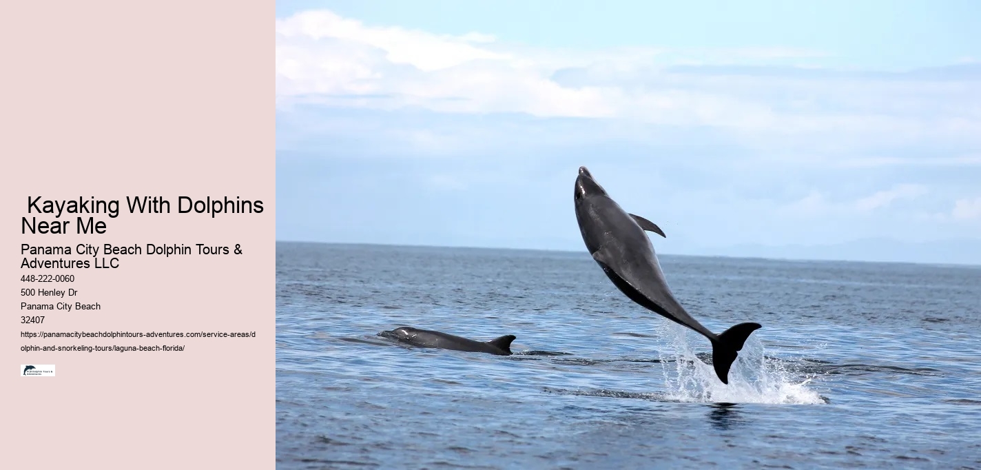 Cheapest Dolphin Tours Near Me