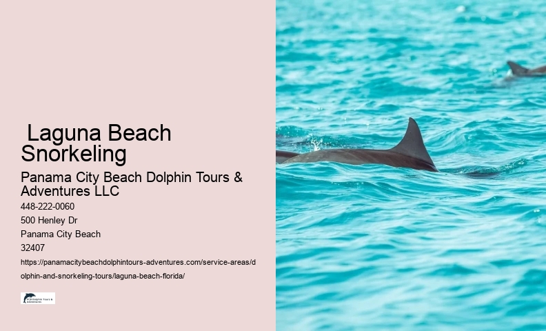 Eco Tours Snorkeling