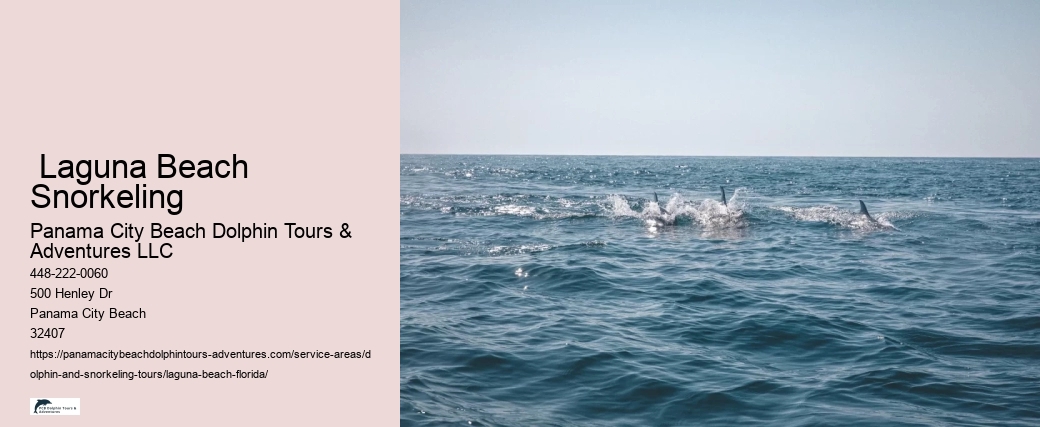 Dolphin And Whale Tours Near Me