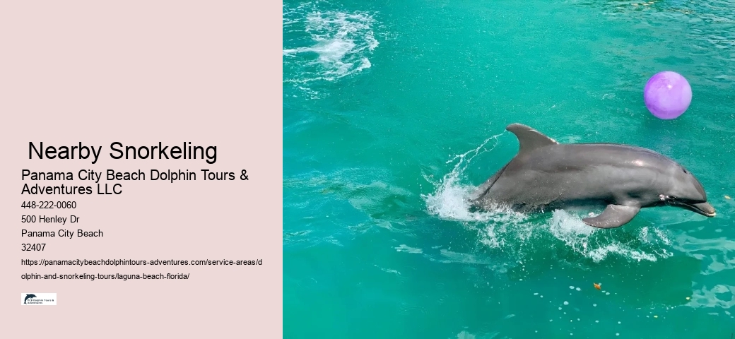 Beach Tours