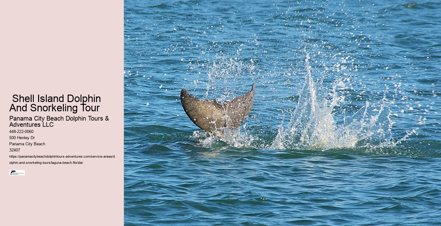 Snorkeling Boat Tours Near Me