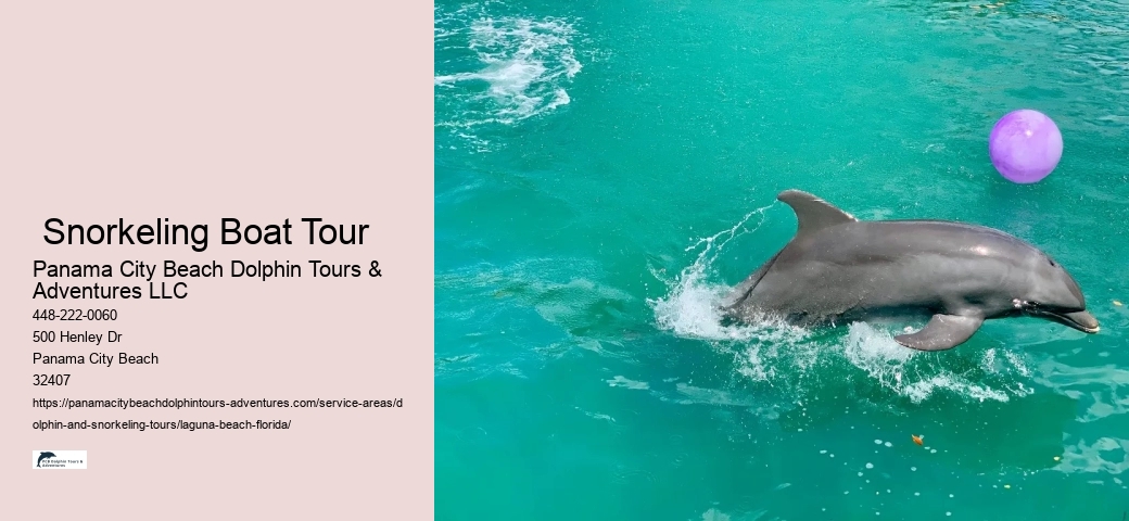 Closest Place To Swim With Dolphins Near Me