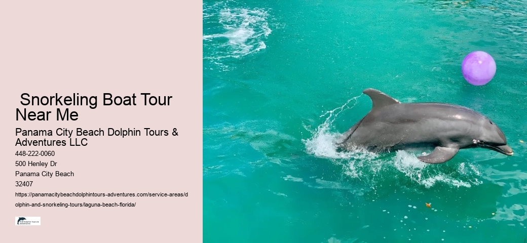 Dolphin Excursions Snorkel Adventure