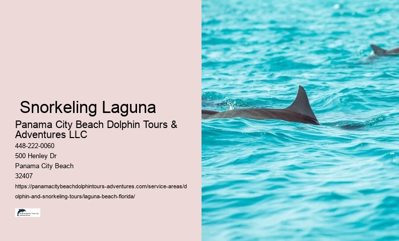 Dolphin Tour And Snorkeling Near Me