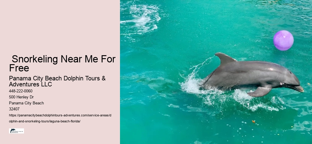 Can participants expect to see dolphins on every tour in Laguna Beach