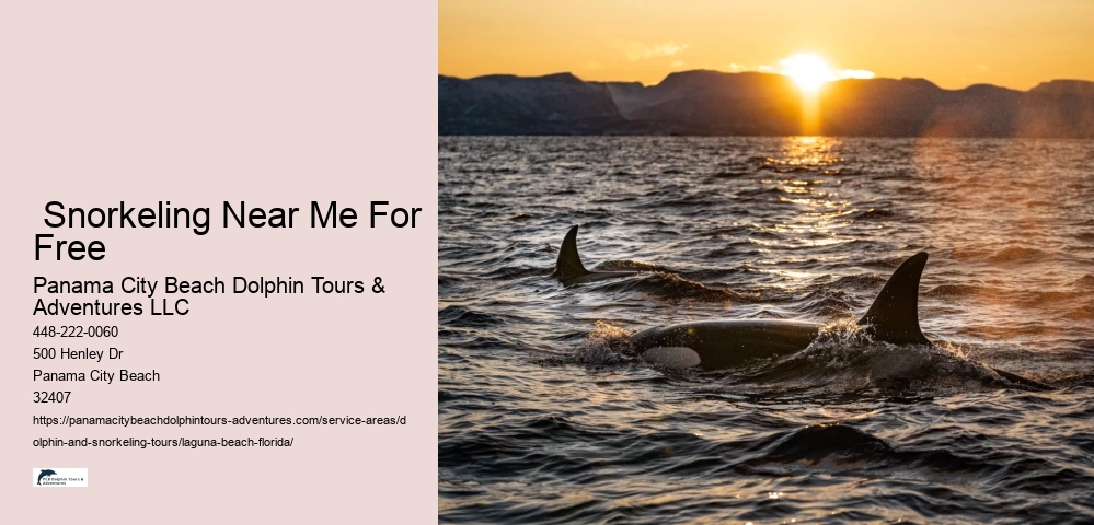 Adventure Tours