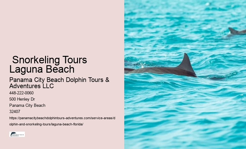 Dolphin Snorkeling Tour