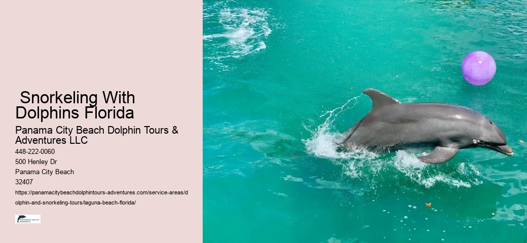 Dolphin & Sunset Cruise Aboard The Sunventure