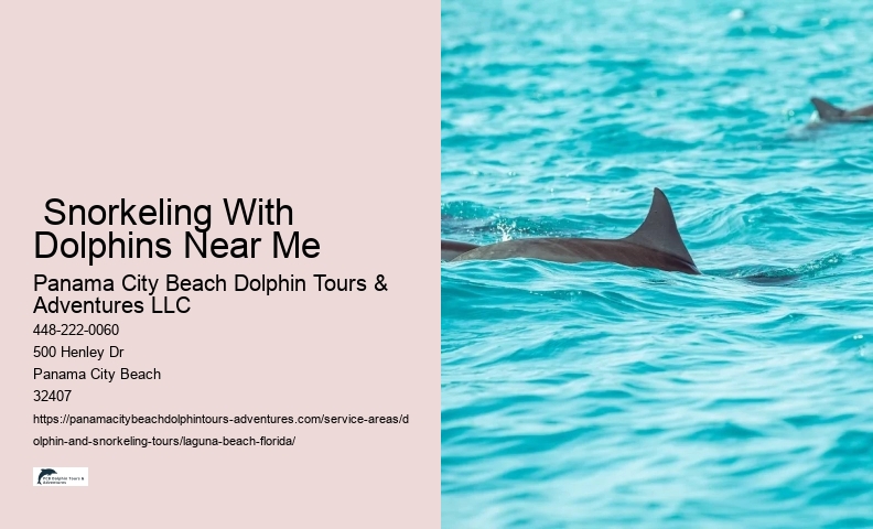 Beginner Snorkeling Near Me
