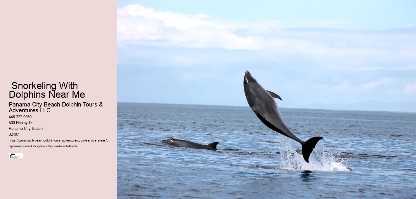 Dolphins Swimming