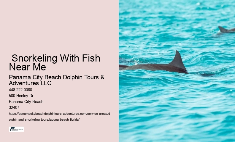 Dolphin Snorkel Reef