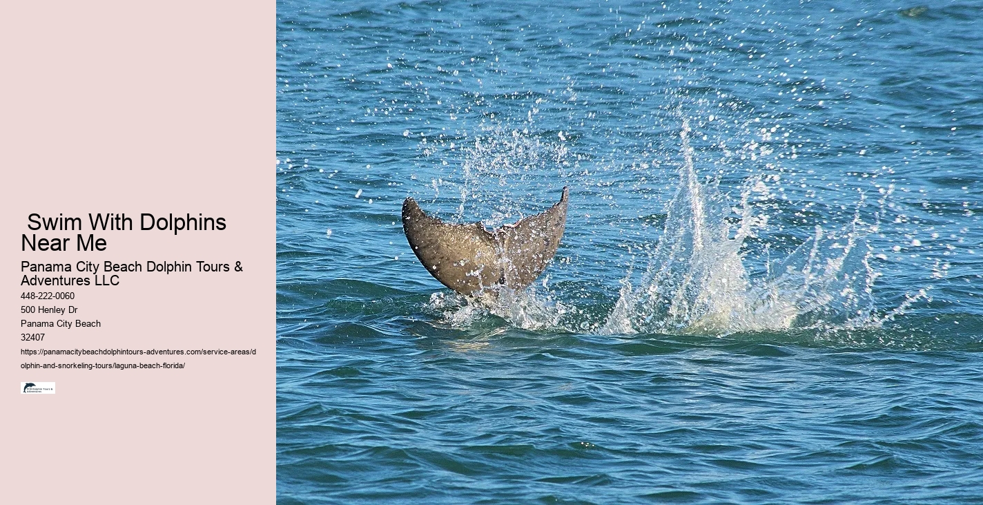 Florida Snorkeling Tours