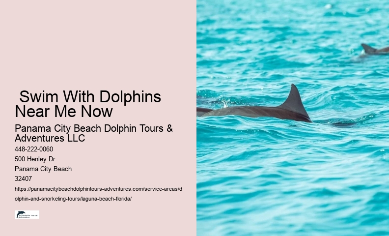 Wild Dolphins