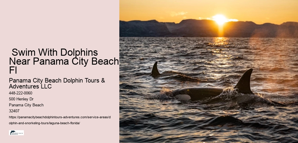 Dolphin Cruises