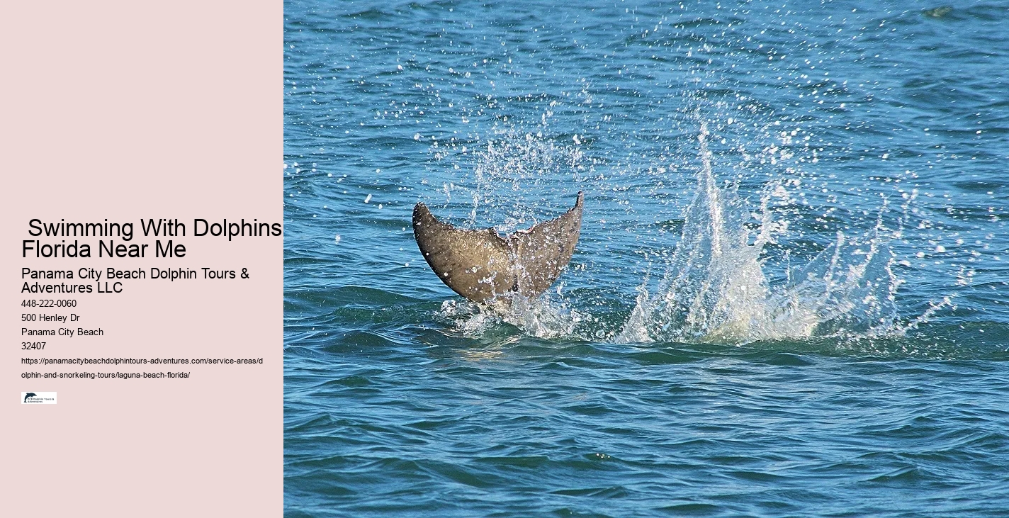 Swimming With Dolphins Florida Near Me