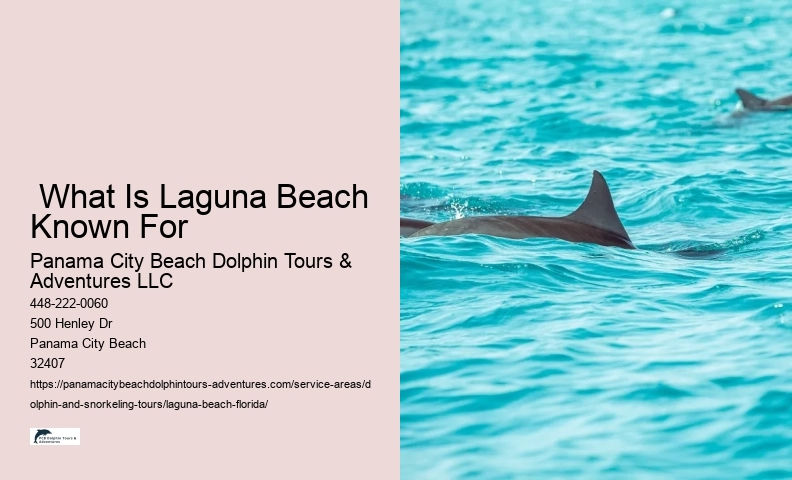 Snorkeling And Dolphin Tour Near Me