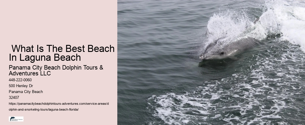 Laguna Beach Snorkeling Rentals