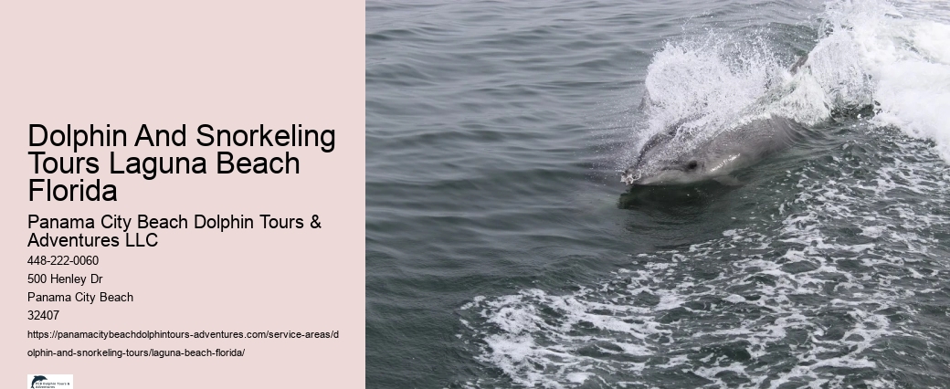 Whale Dolphin Watching Near Me