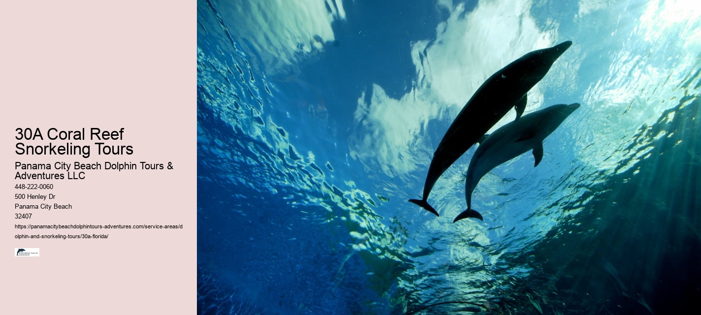 Dolphins