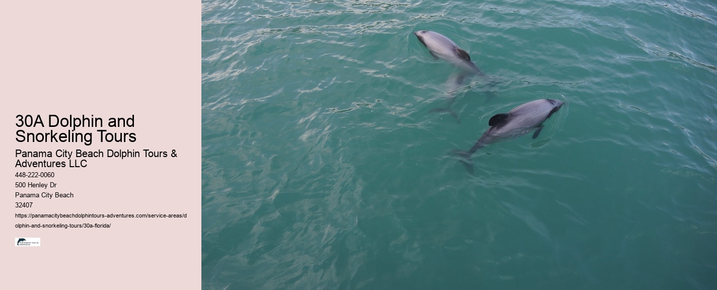 Best Snorkeling Tours Florida Keys