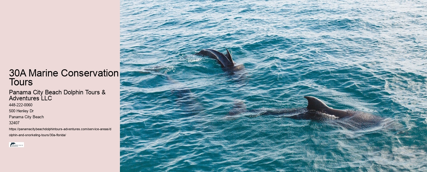 Best Snorkeling Tours In The Keys