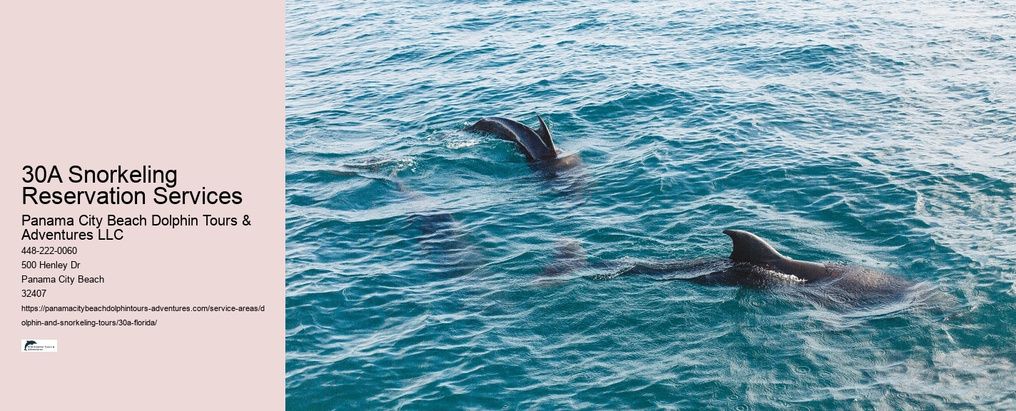 City Beach Dolphin