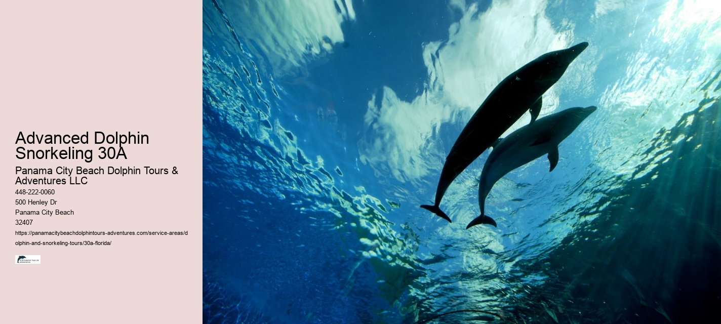 Sentence About Dolphins