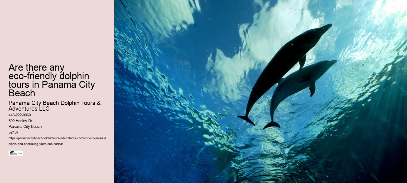 Discover Scuba Diving in 30A