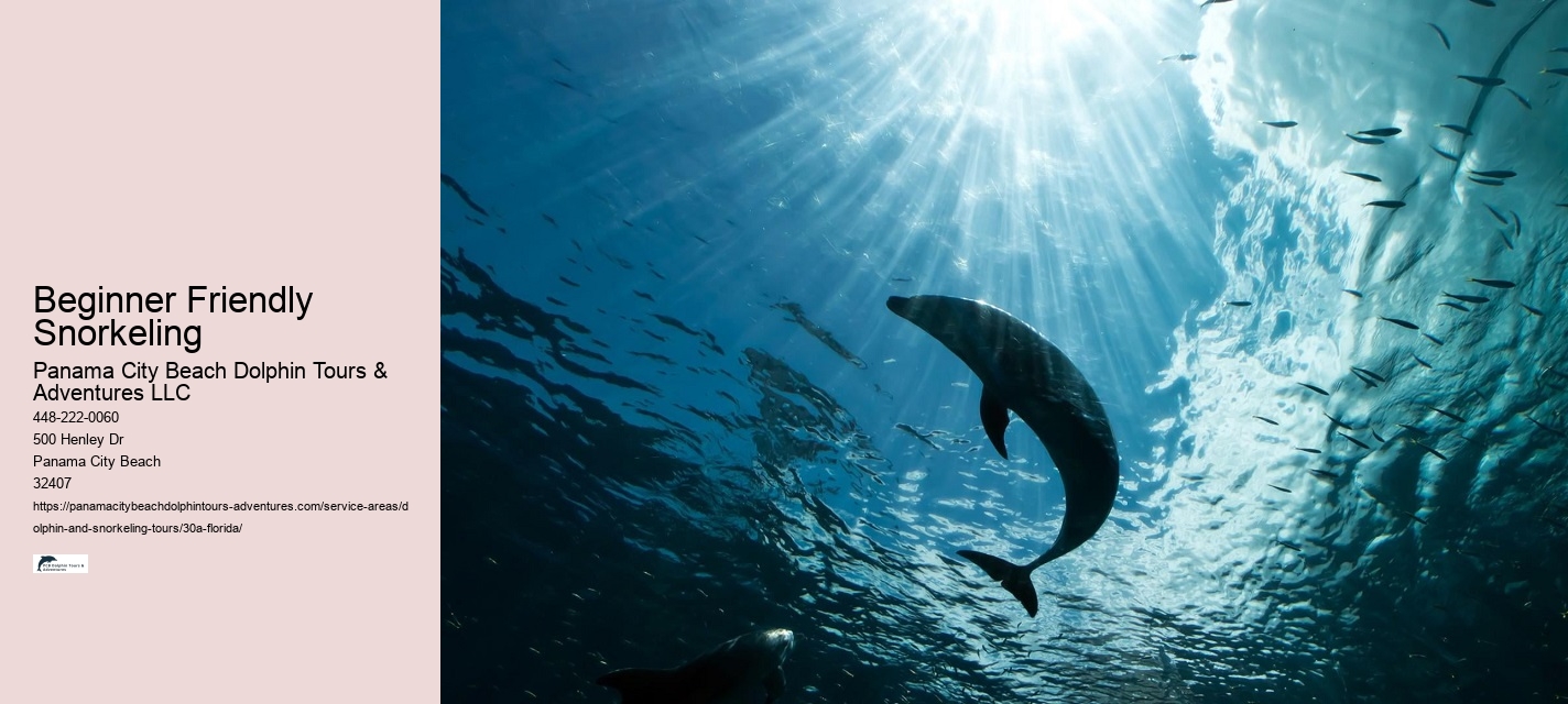 and Snorkeling Tours
