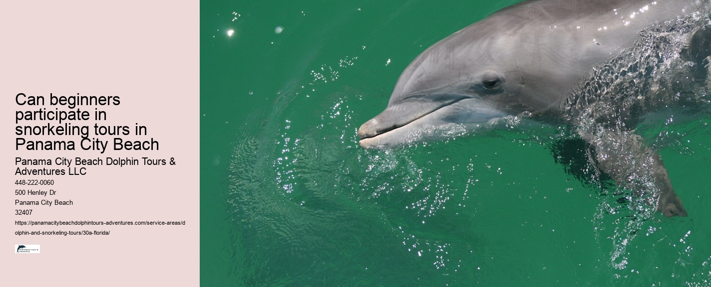Does Florida Have Dolphins