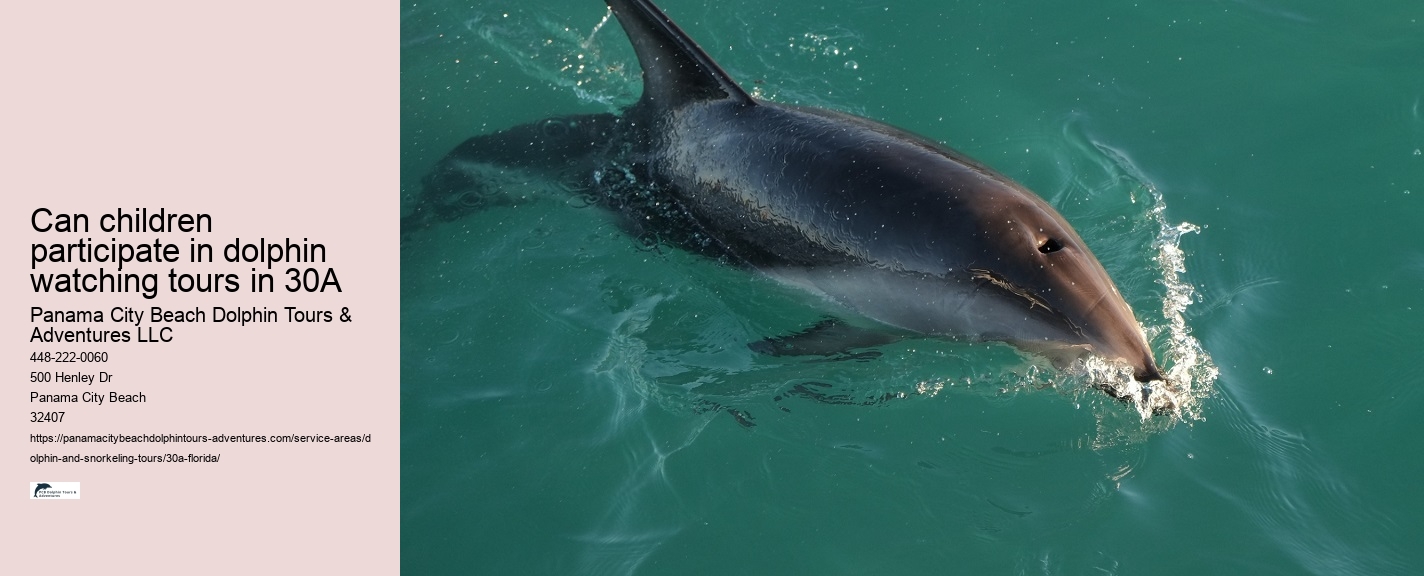 Closest Dolphin Tour Near Me