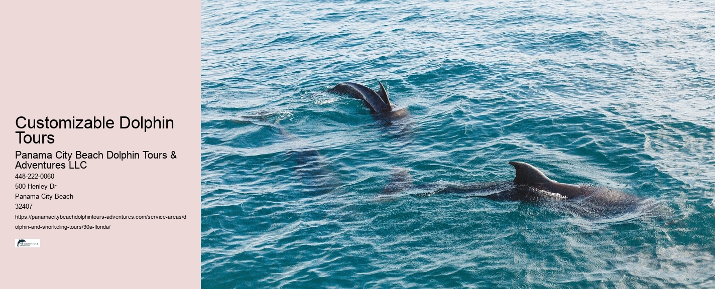 What should you not do while swimming with dolphins