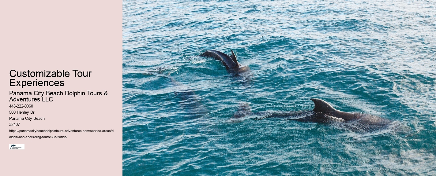 Jet Ski Dolphin Tours Near Me