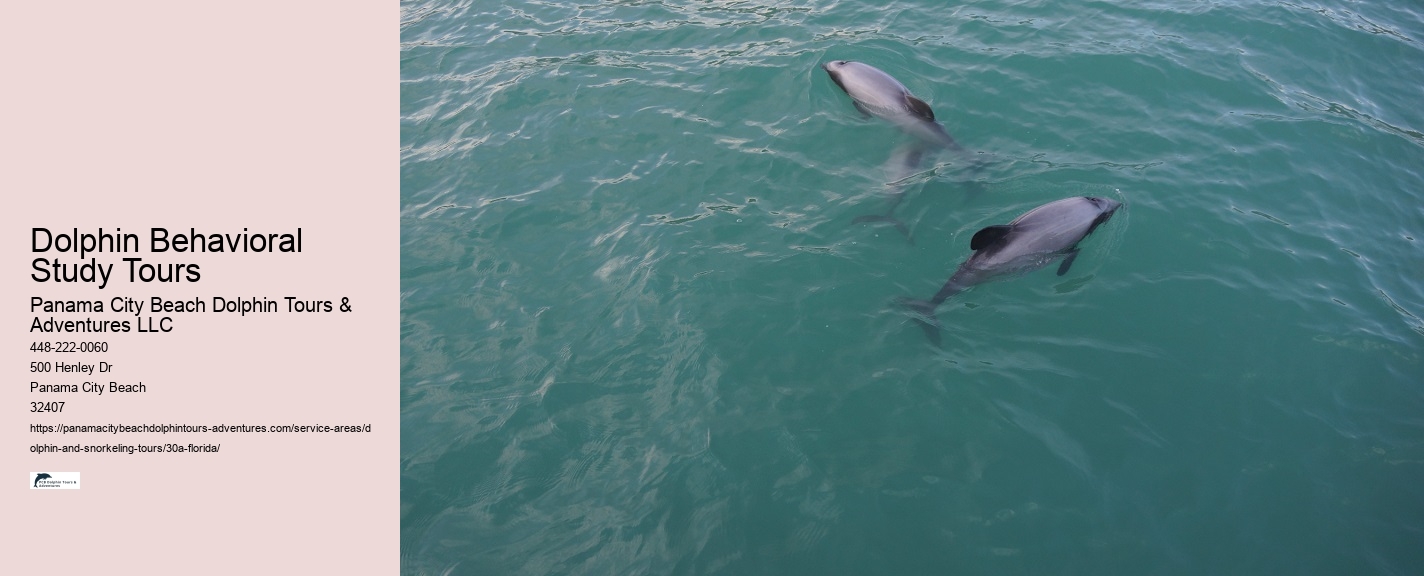Blue Dolphin