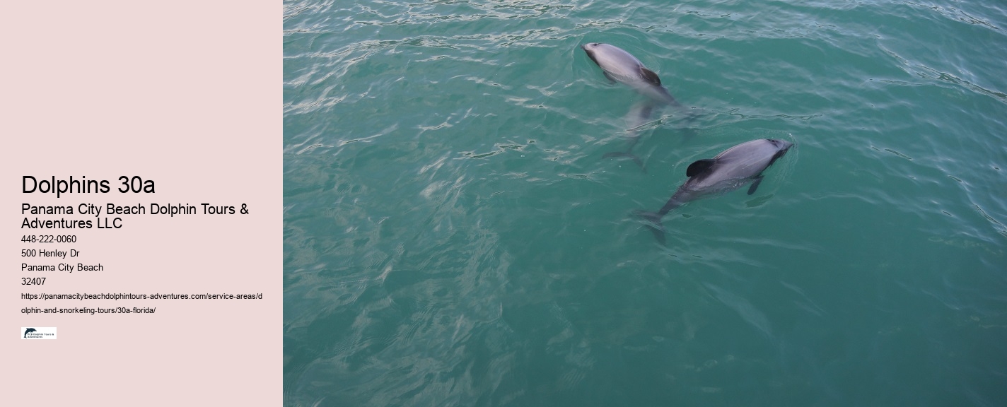 30a Dolphin Cruise
