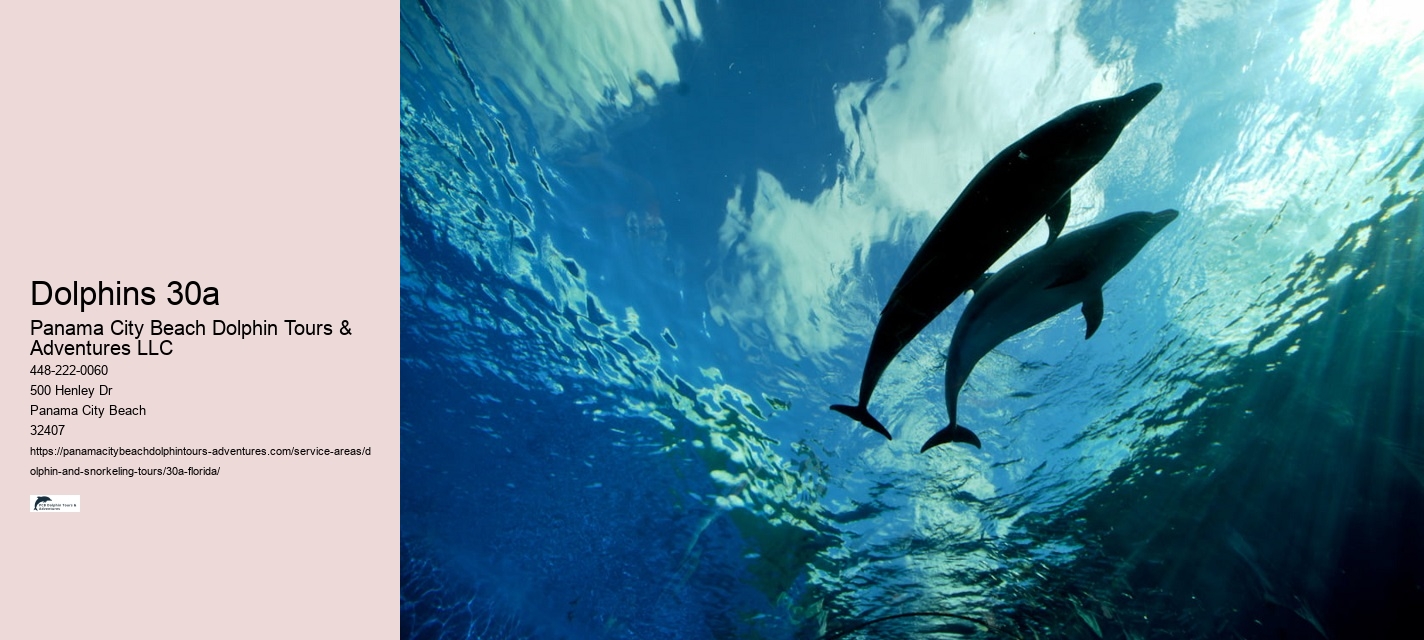 Partnerships with Marine Conservation Organizations