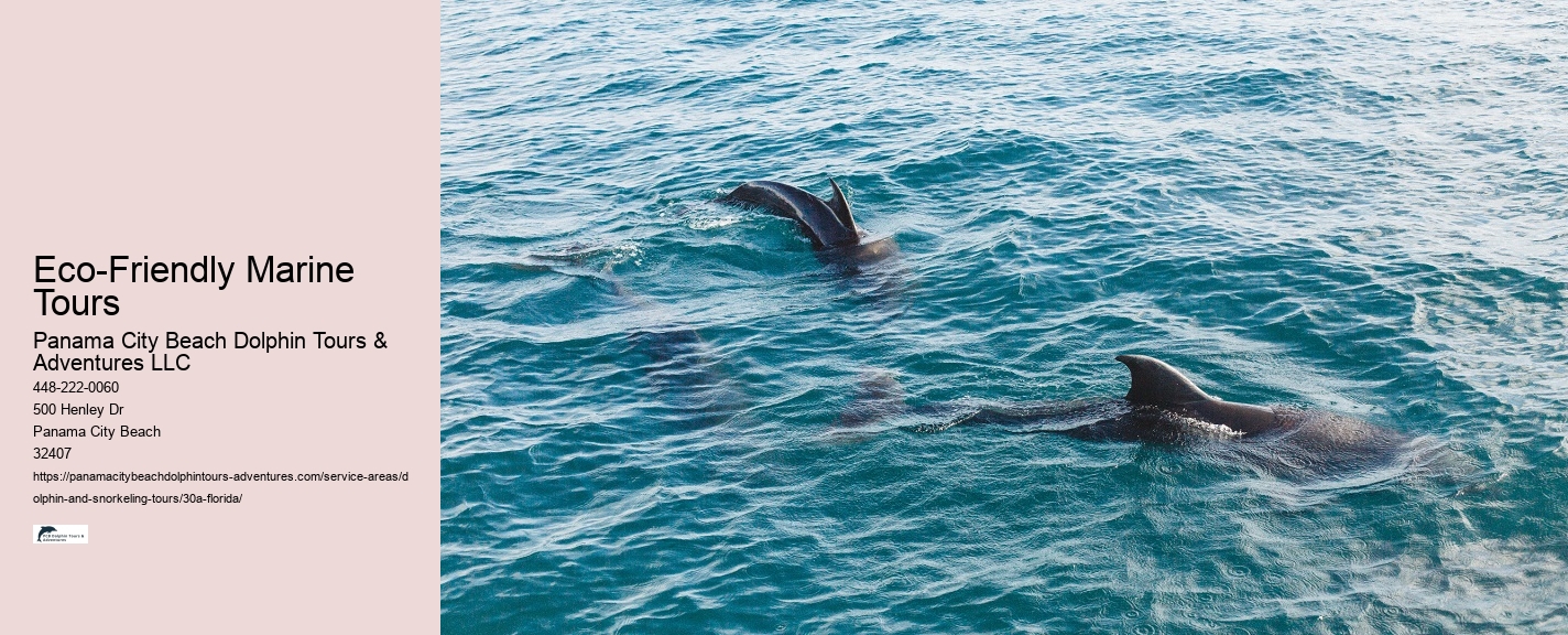 Dolphin Travels Review
