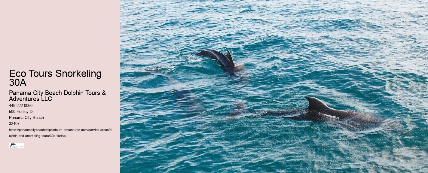Dolphin Cruise Destin Fl
