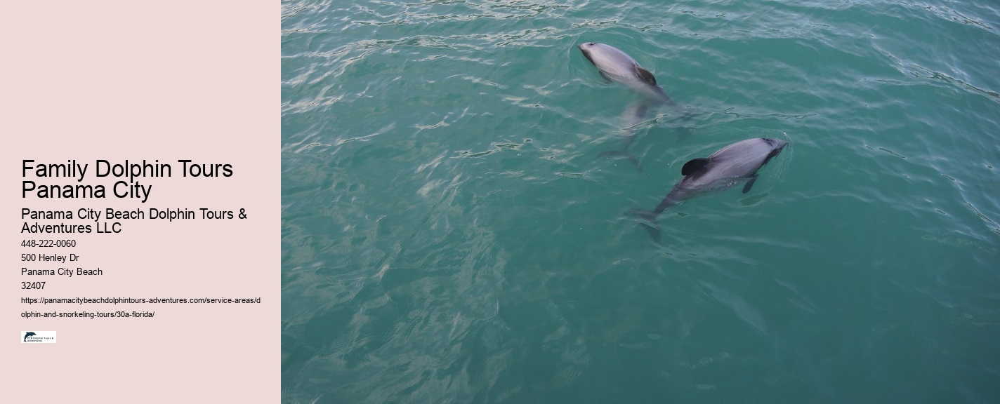Port A Dolphin Watch